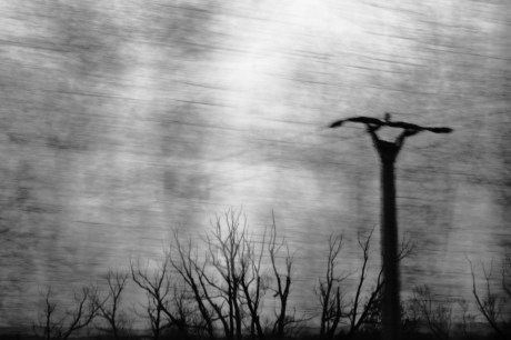 ragnarök [1/6] / 2010 / océ lightjet print / 40×30